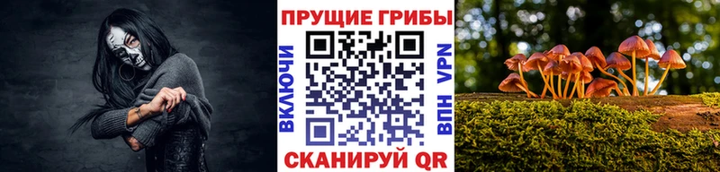 Псилоцибиновые грибы Magic Shrooms Нерчинск