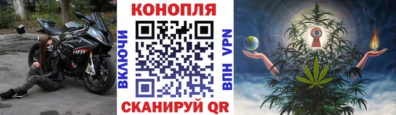 где купить   Нерчинск  Шишки марихуана OG Kush 